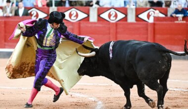 Morante de la Puebla: sonata inconclusa de una tarde memorable en Salamanca - El Mundo