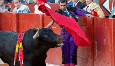 Toros, triunfo y dramas - Diario de Yucatán