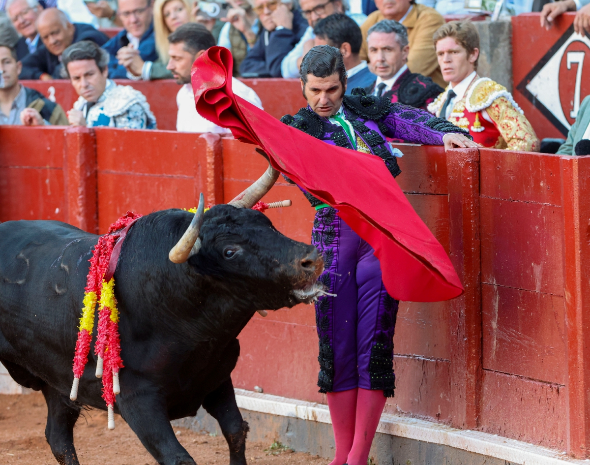 Toros, triunfo y dramas - Diario de Yucatán