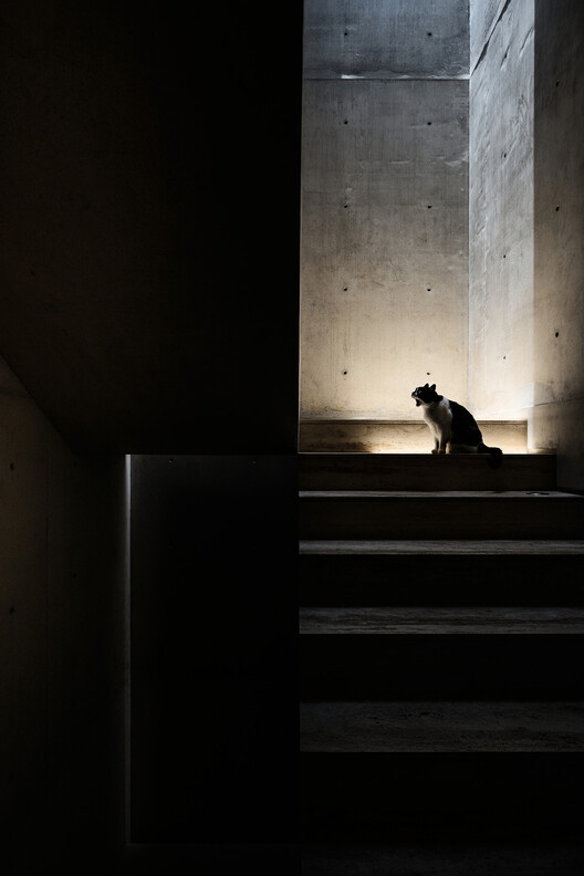 Casa Tao / HW Studio - Fotografía interior, Escaleras
