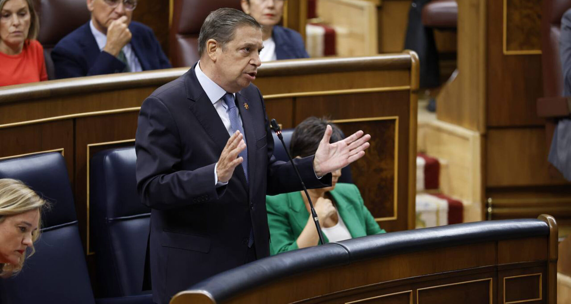 El ministro de Agricultura, Pesca y Alimentación, Luis Planas, en el Pleno del Congreso de los Diputados.