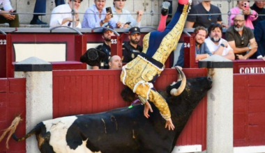 Torero español es corneada y termina de urgencia en el hospital