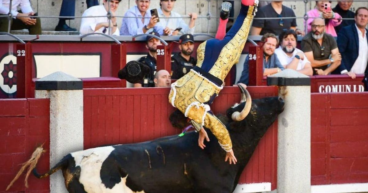 Torero español es corneada y termina de urgencia en el hospital