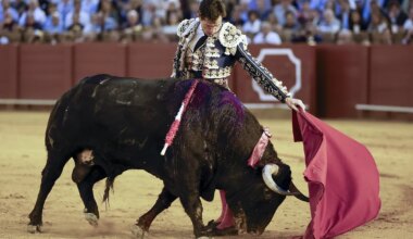 La izquierda de Daniel Luque blanquea una tarde vulgar en Sevilla - El Mundo