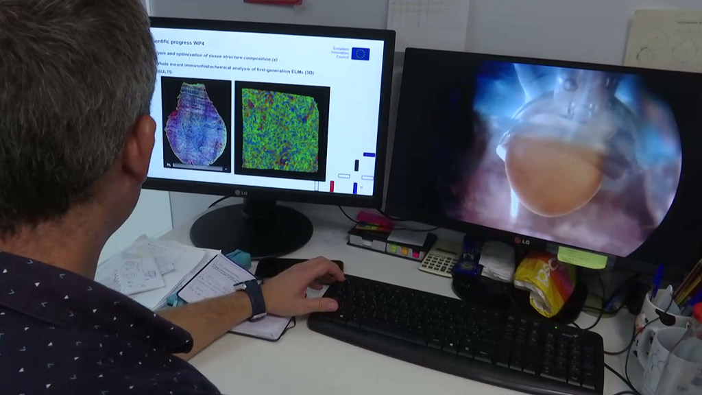 El reto de la regeneración del corazón