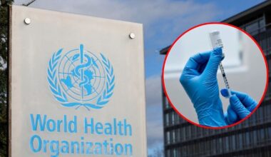 La OMS define los tres componentes de la vacuna contra la gripe para el hemisferio sur en 2026