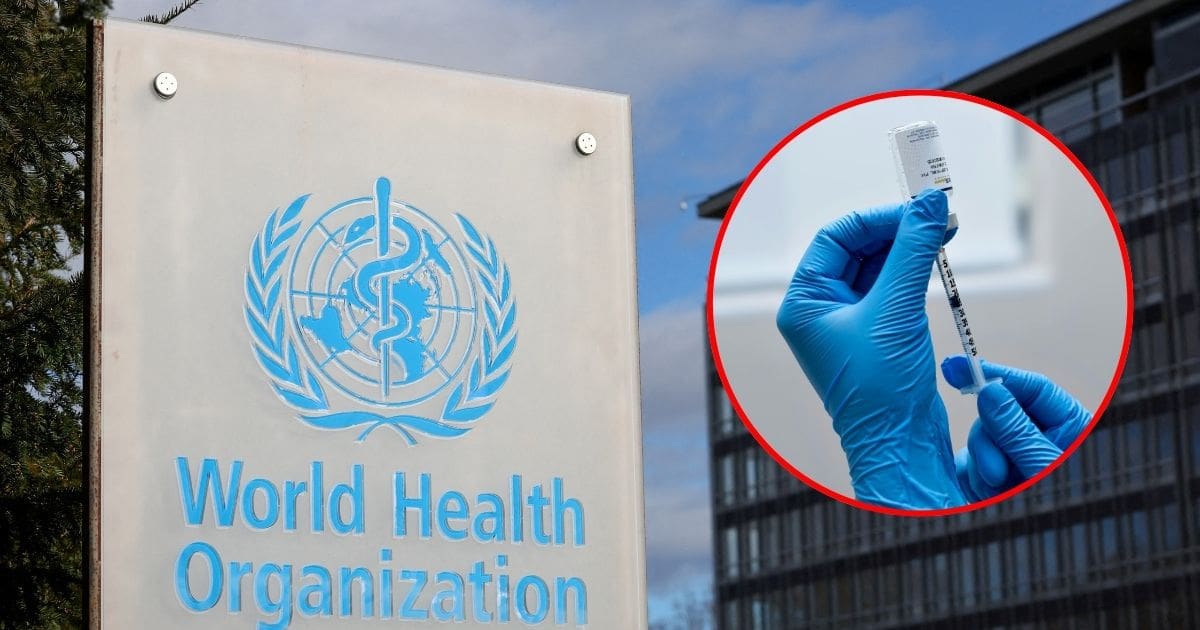 La OMS define los tres componentes de la vacuna contra la gripe para el hemisferio sur en 2026