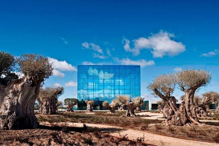 Santander aumenta un 15% el dividendo a cuenta en efectivo de 2025, hasta 11,5 céntimos de euro por acción