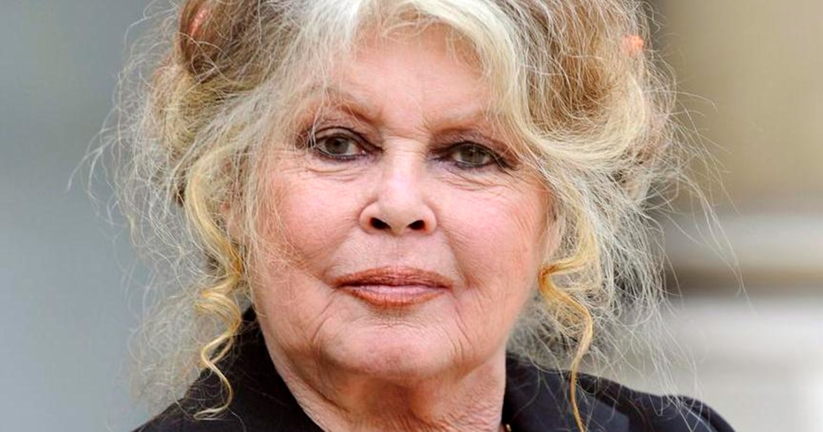 Brigitte Bardot publica un libro abecedario con sus definiciones escritas a mano