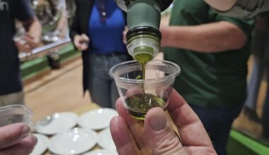 Si España es líder mundial en aceite de oliva, ¿por qué importamos?