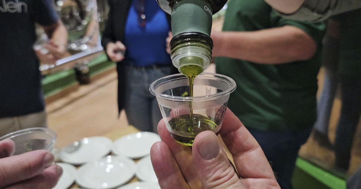 Si España es líder mundial en aceite de oliva, ¿por qué importamos?