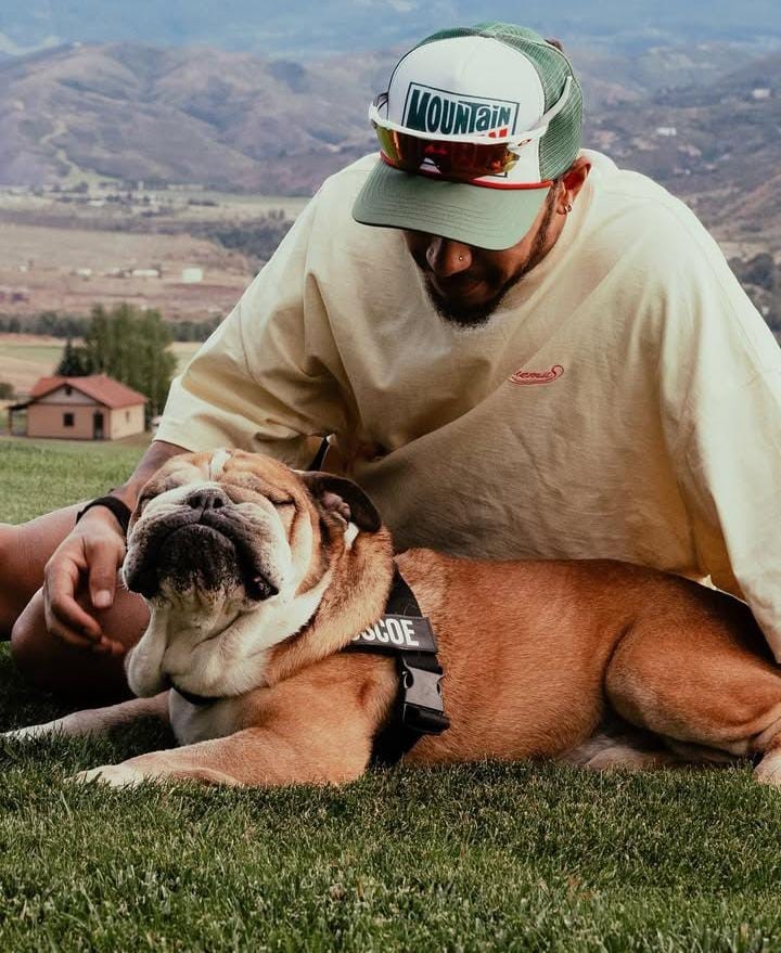 La foto con la que Hamilton se despidió de su perro. (Foto: @lewishamilton)