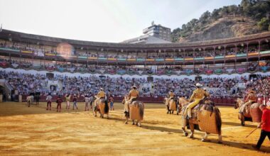 La Diputación de Málaga aprueba el nuevo pliego de La Malagueta