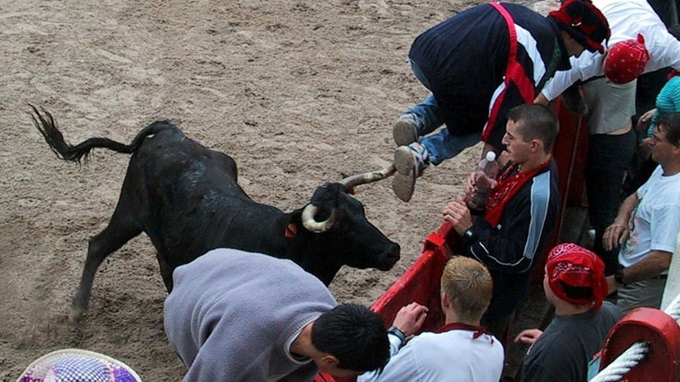 Denuncian al Ayuntamiento de Ampuero por patrocinar espectáculos taurinos que incluyen el acceso gratuito de bebés y niños