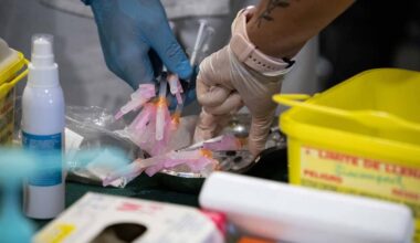 fechas, grupos prioritarios y novedades