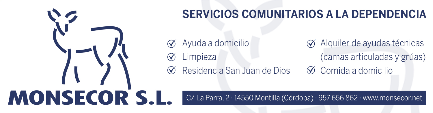 MONSECOR - AYUDA A DOMICILIO Y SERVICIOS SANITARIOS