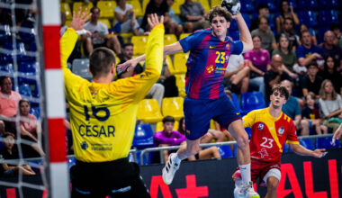 Recoletas At. Valladolid: Primer triunfo liguero en el Palau (35-25)
