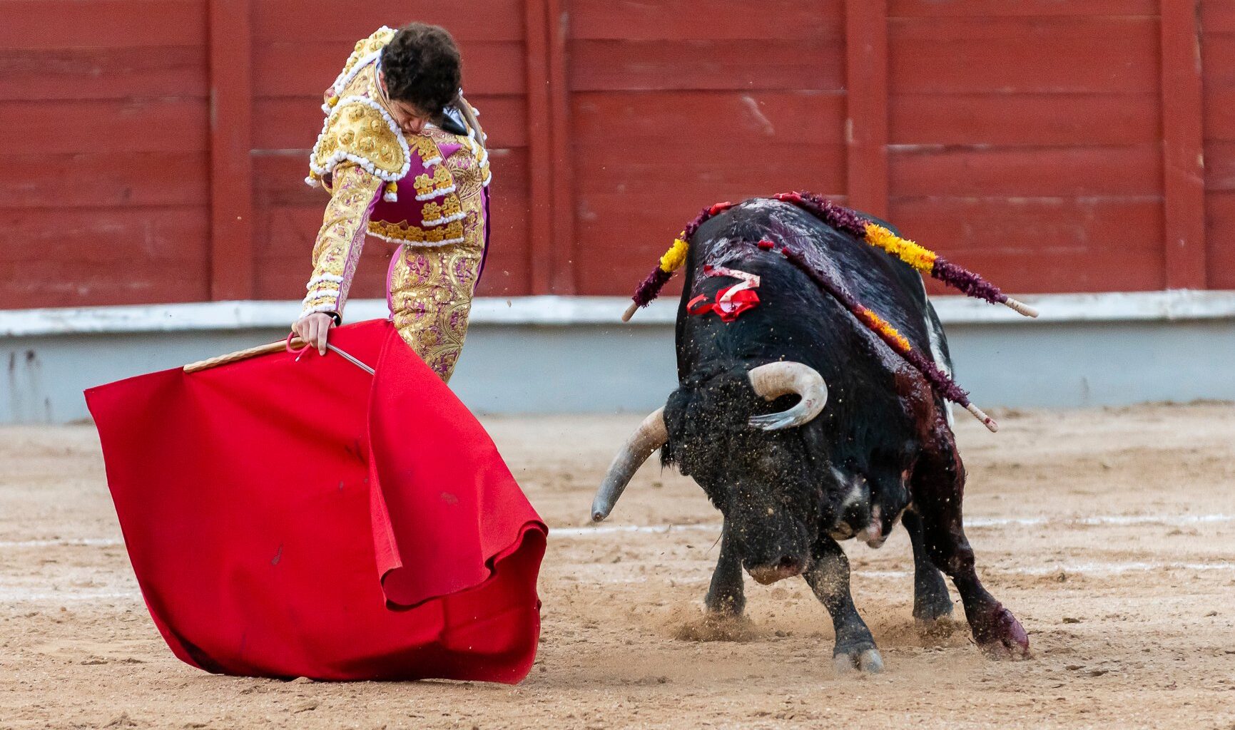 Segunda corrida de la Feria de Guadalajara: A los Aleas...ni los veas