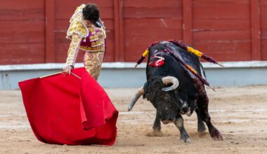 Segunda corrida de la Feria de Guadalajara: A los Aleas...ni los veas