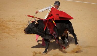 Rubén Sanz, un torero de Soria en Madrid