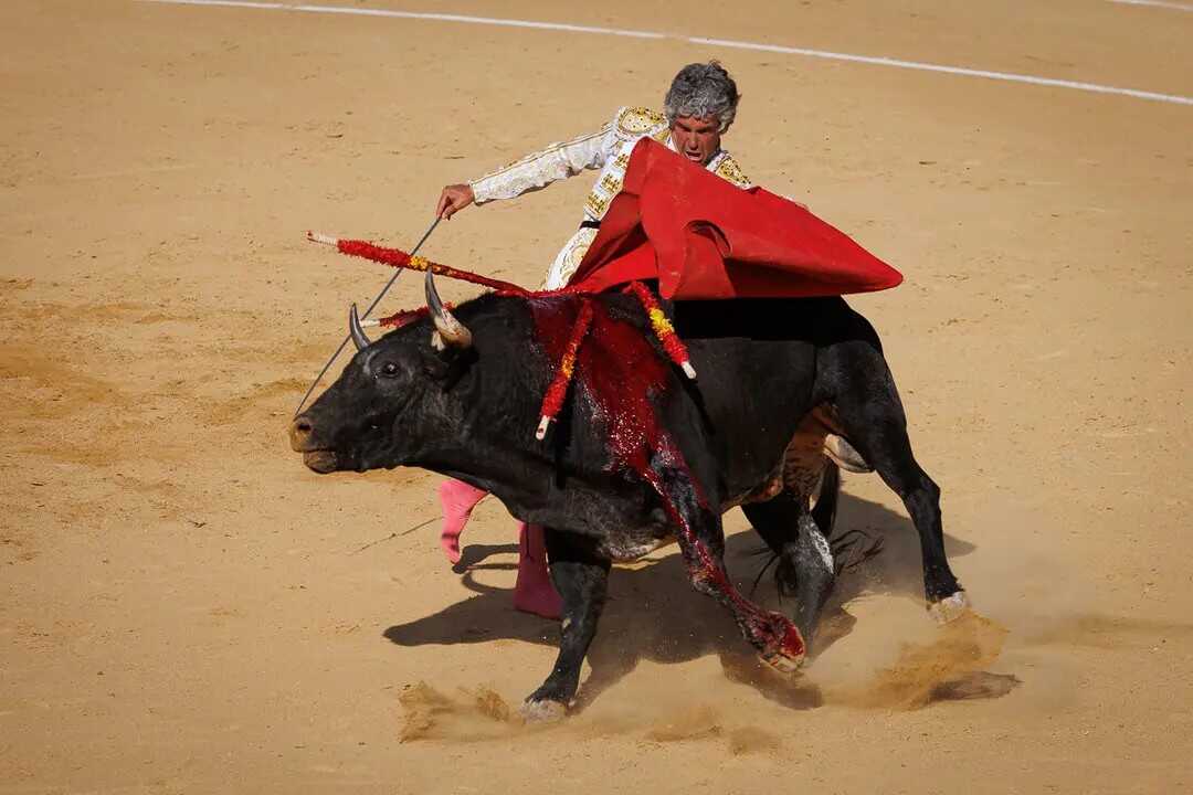 Rubén Sanz, un torero de Soria en Madrid