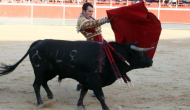 Arruza pierde el triunfo por la espada en la tercera de Calasparra