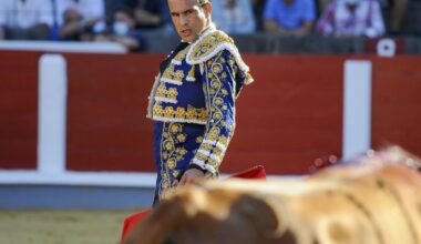 José María Manzanares: «Torear y que parezca fácil es lo más difícil»