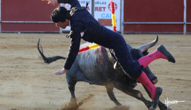 Secuencia fotográfica de la cogida a José Luis Triviño en Fuenlabrada
