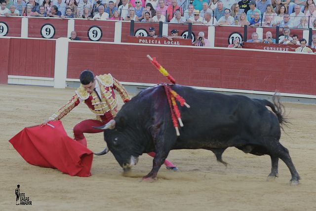 Corrida toros - 12-09-25 - Alejandro Talavante.