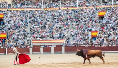Ver a un soriano torear en Las Ventas puede costarte menos que un cubata
