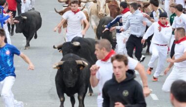 herido tras caer ante los toros