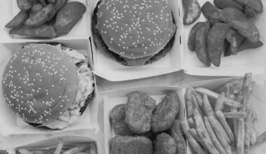 La dieta occidentalizada es tóxica para nuestro intestino - Campusa