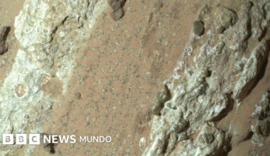 Encuentran posibles señales de vida pasada en Marte en rocas con "manchas de leopardo"
