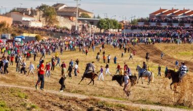 Toros, peñas y verbenas por San Miguel y San Jerónimo