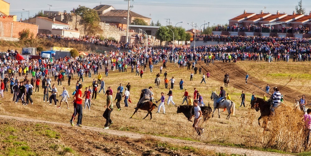 Toros, peñas y verbenas por San Miguel y San Jerónimo