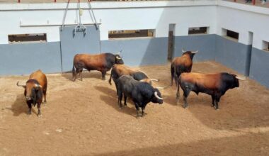 Un encierro de Conde de Mayalde abre el abono