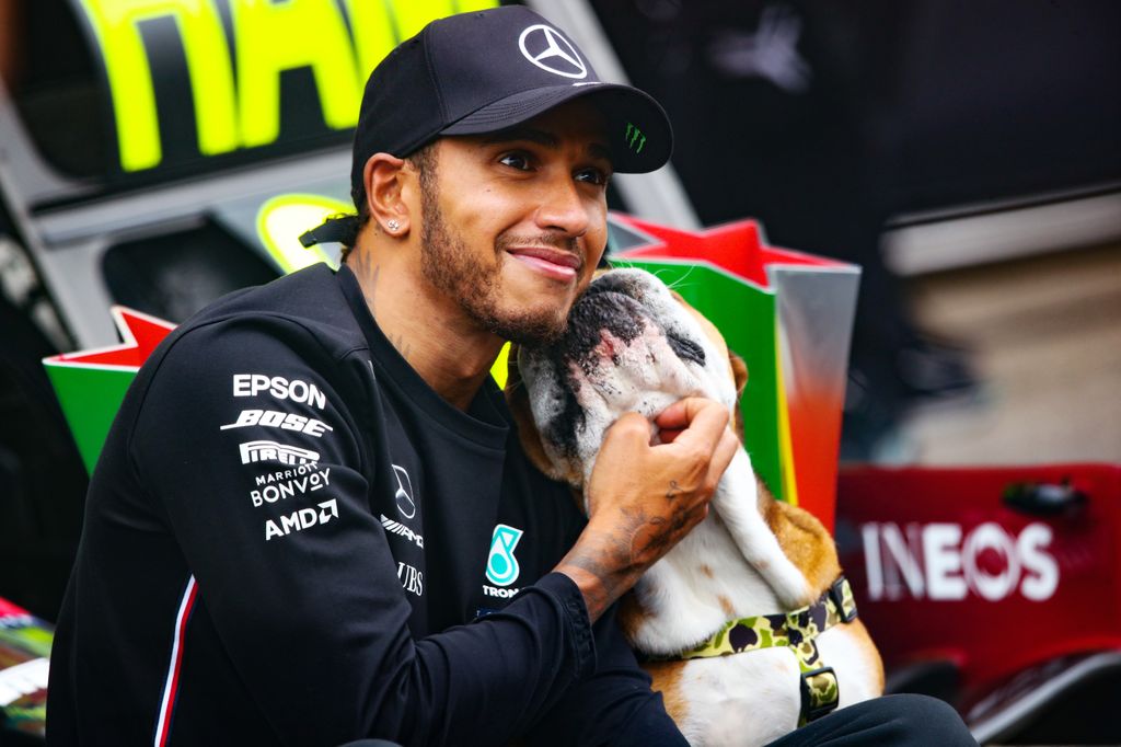  Lewis Hamilton con su perro Roscoe en  Autodromo Internacional de Algarve en Portimao, Portugal, en octubre de 2020.|