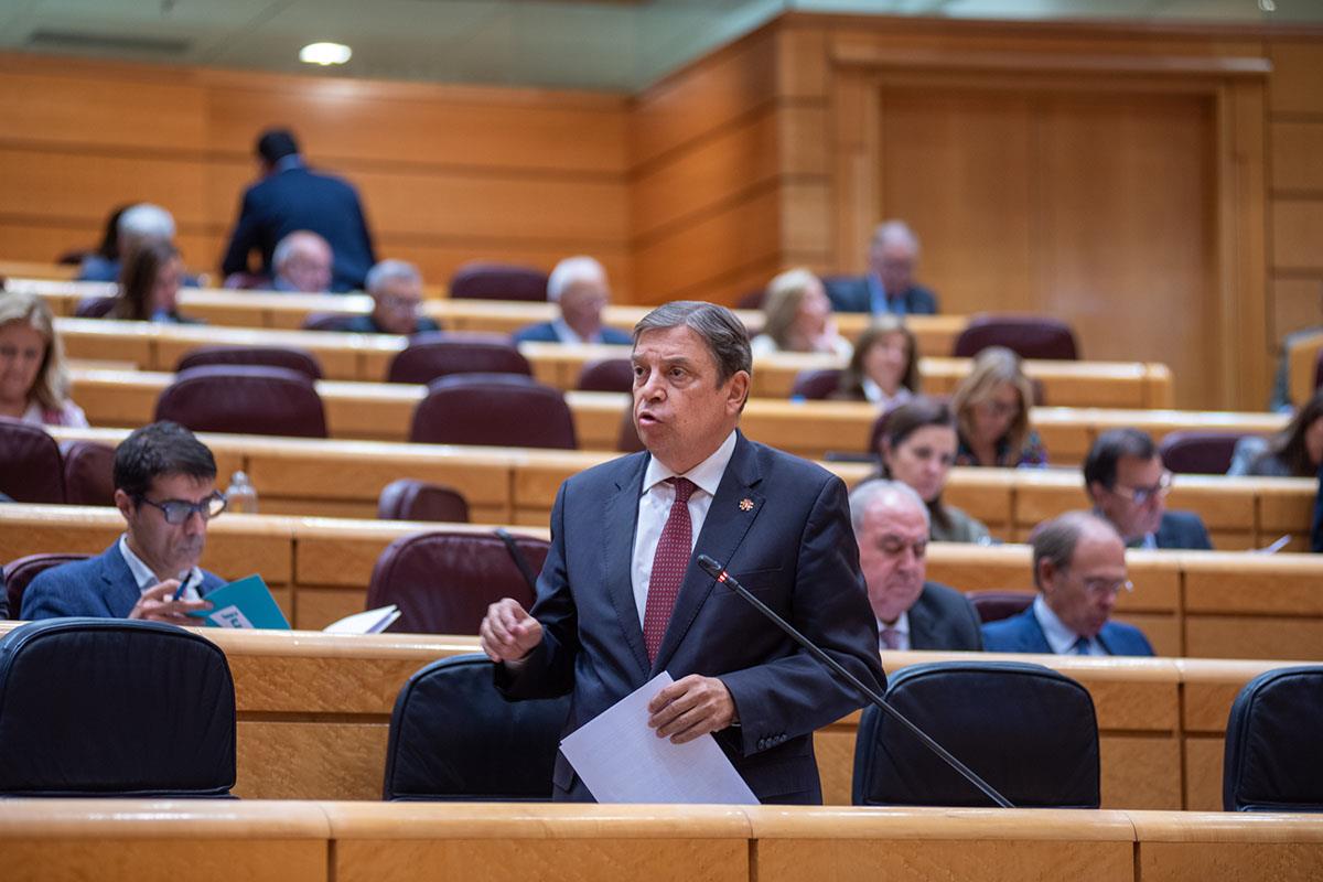 El ministro de Agricultura, Pesca y Alimentación, Luis Planas, durante su intervención en el Senado