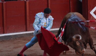 'Afrutado' de Garcigrande permite el toreo de salón por Ortega en Salamanca