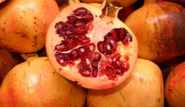 el elixir otoñal que regenera tus células, equilibra tus hormonas y fortalece el corazón
