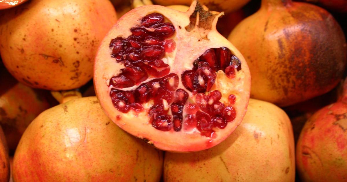 el elixir otoñal que regenera tus células, equilibra tus hormonas y fortalece el corazón