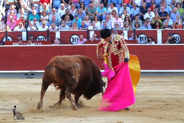 Corrida toros - 12-09-25 - Alejandro Talavante.