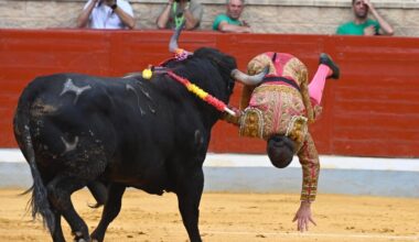 El novillero Joao d´Alva, dado de alta tras la cornada de Villaseca de la Sagra