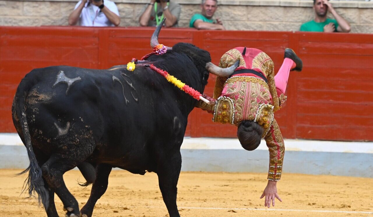 El novillero Joao d´Alva, dado de alta tras la cornada de Villaseca de la Sagra