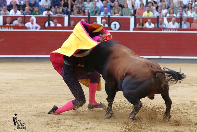 Corrida toros 08-09-25 (20-20) - Fortes.