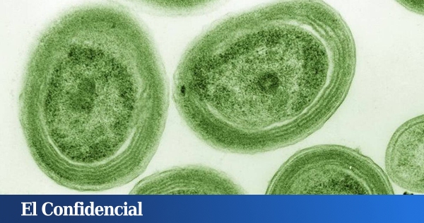 el mayor peligro del calentamiento de los océanos es que el oxígeno escasee
