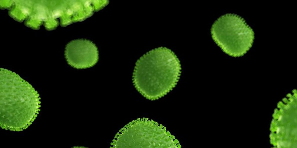 Siete virus que pueden causar cáncer