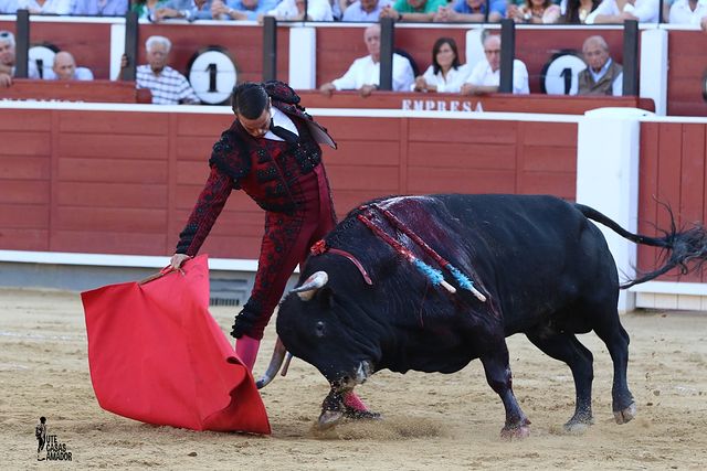 Corrida toros - 12-09-25 - José María Manzanares.