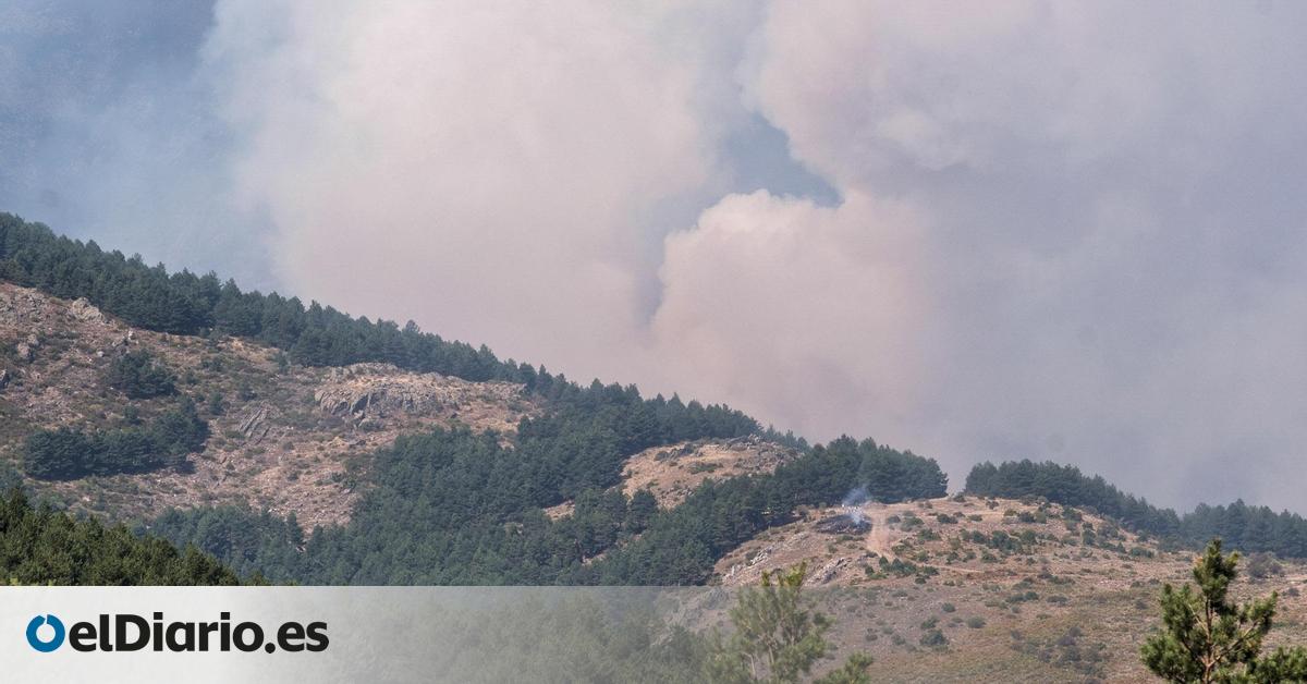 Los vecinos de Guadalajara afectados por el incendio de Peñalba de la Sierra ya pueden volver a casa