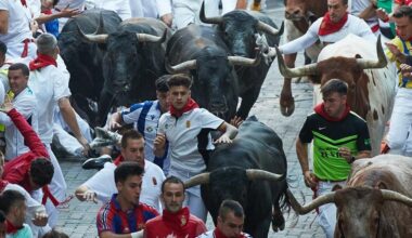 El 80% de la ciudadanía de Pamplona se muestra a favor del encierro, aunque baja al 52% el apoyo las corridas de toros